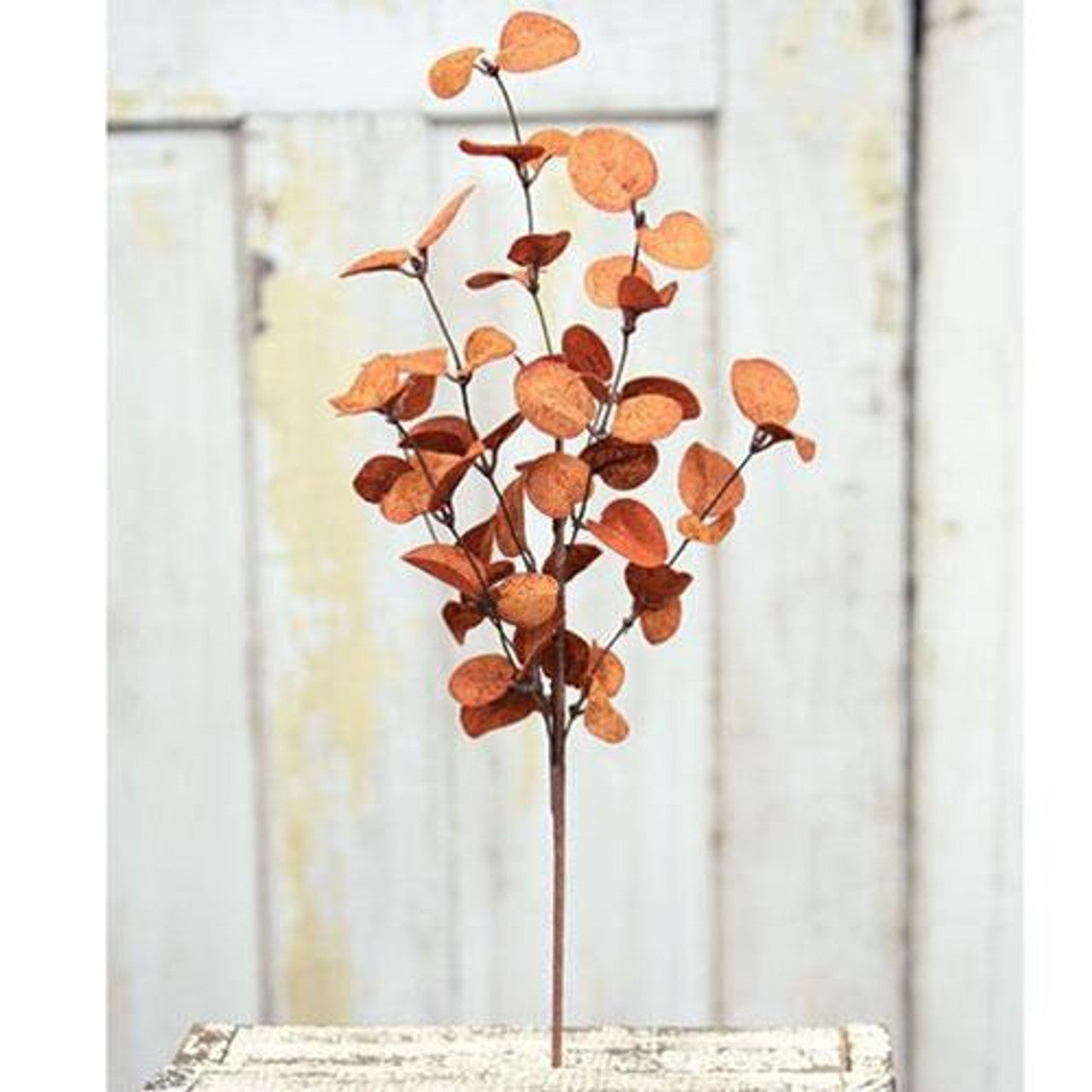 Fall Penny Leaf Pick