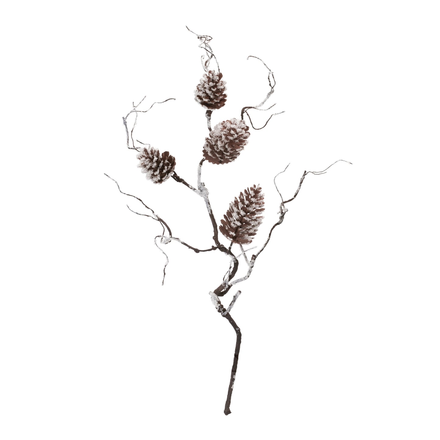 Pinecone Branch