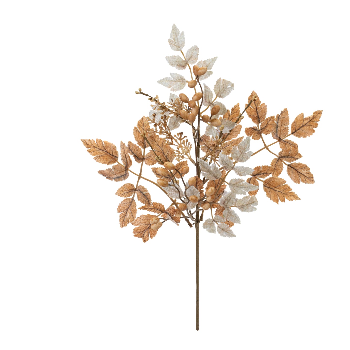 Muted Fall Spray