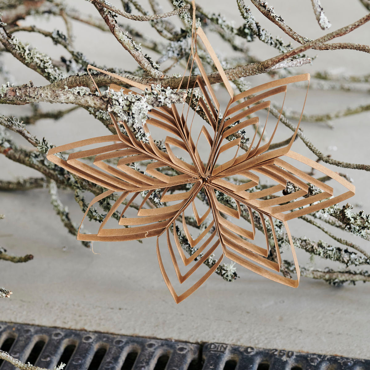 Quilling Kraft Stars