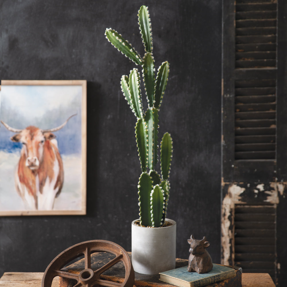 Faux Potted Cactus