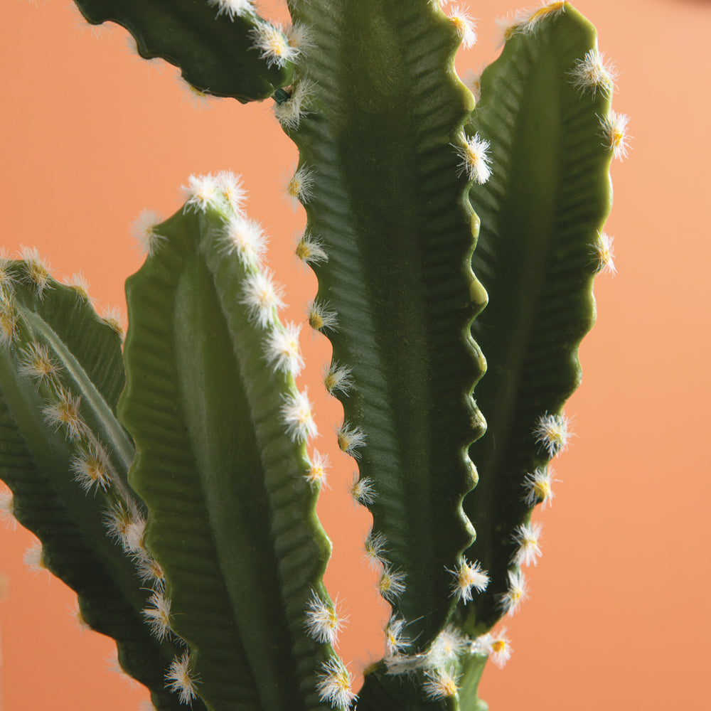 Faux Potted Cactus