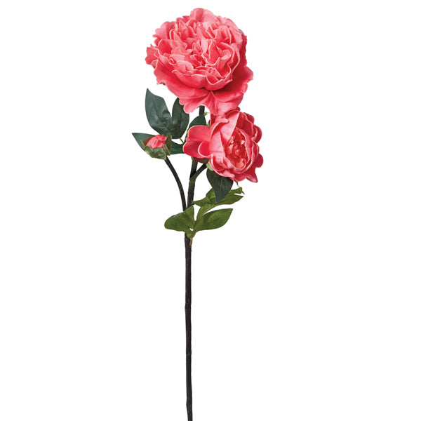 Peony Stem
