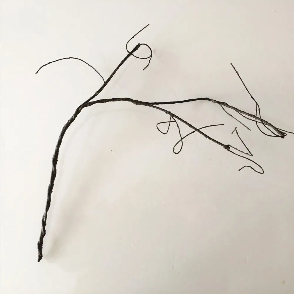 Brown Twiggy Branch