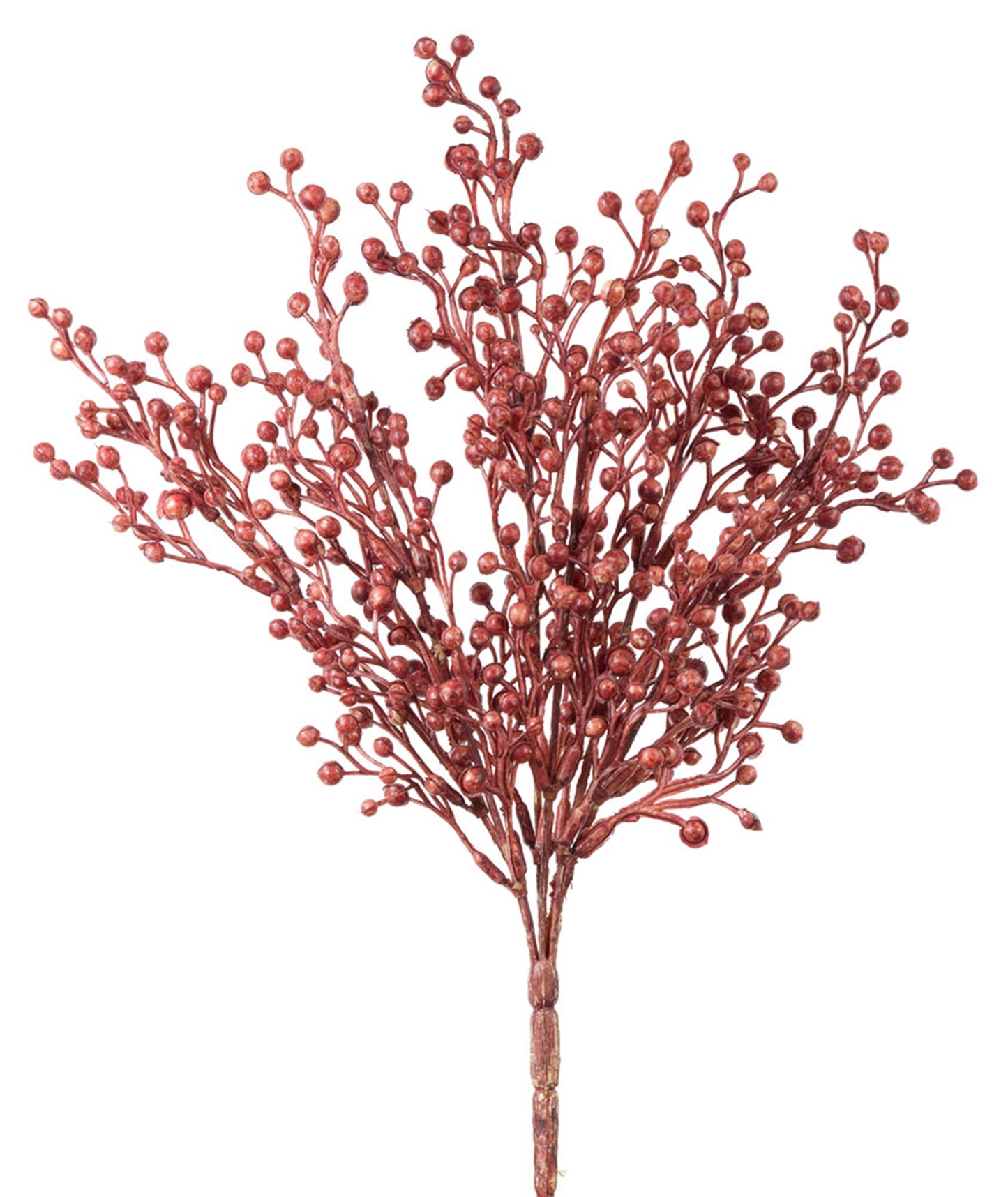 Fall Berry Bush