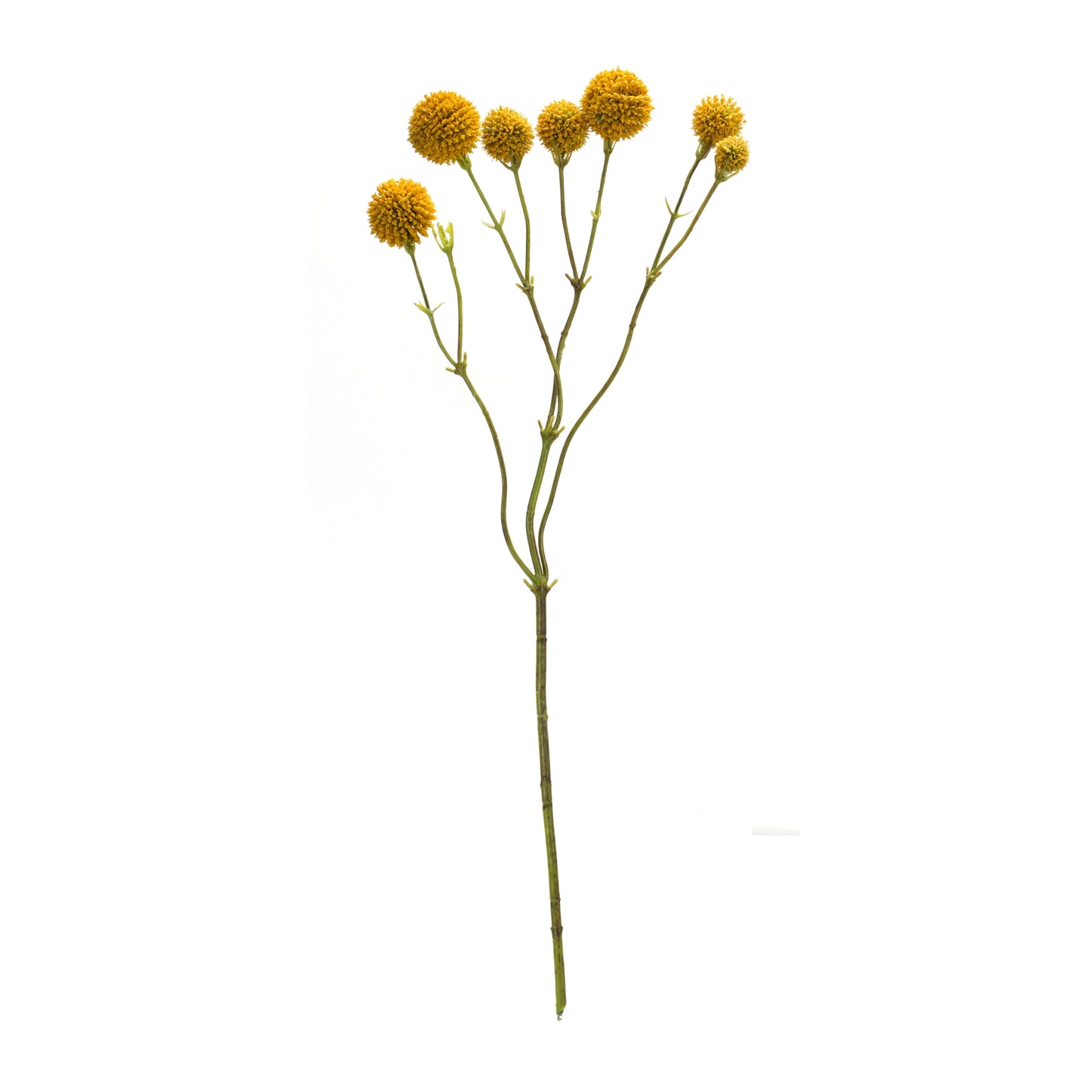 Yellow Pod Spray