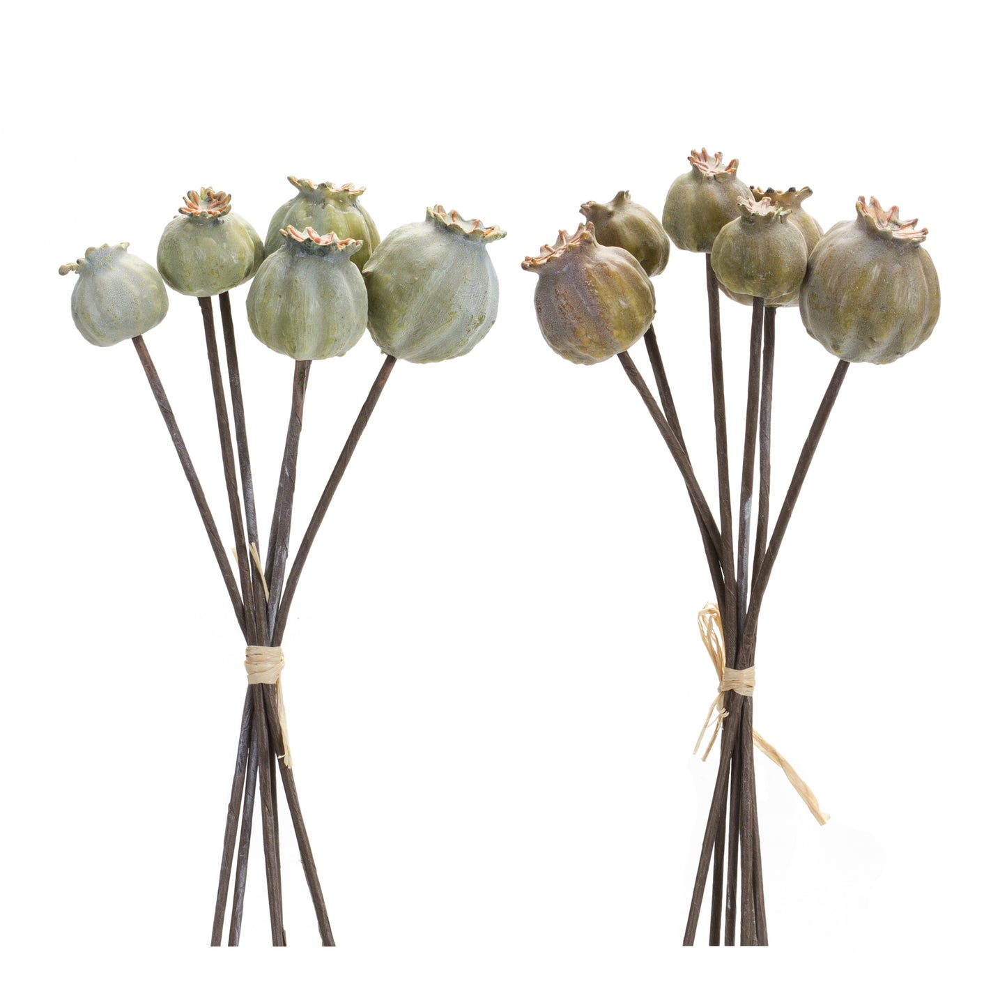 Poppy Pod Spray