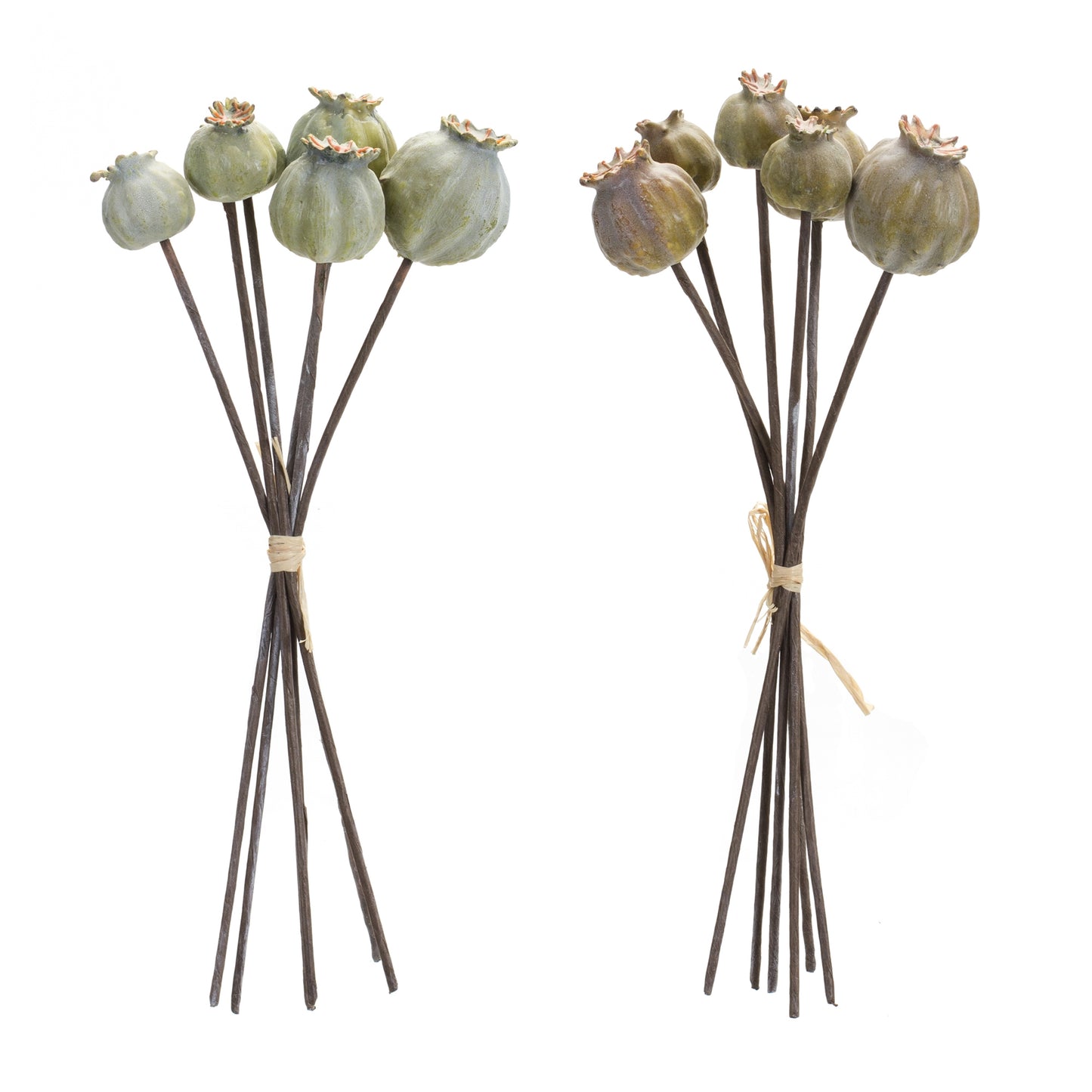 Poppy Pod Spray