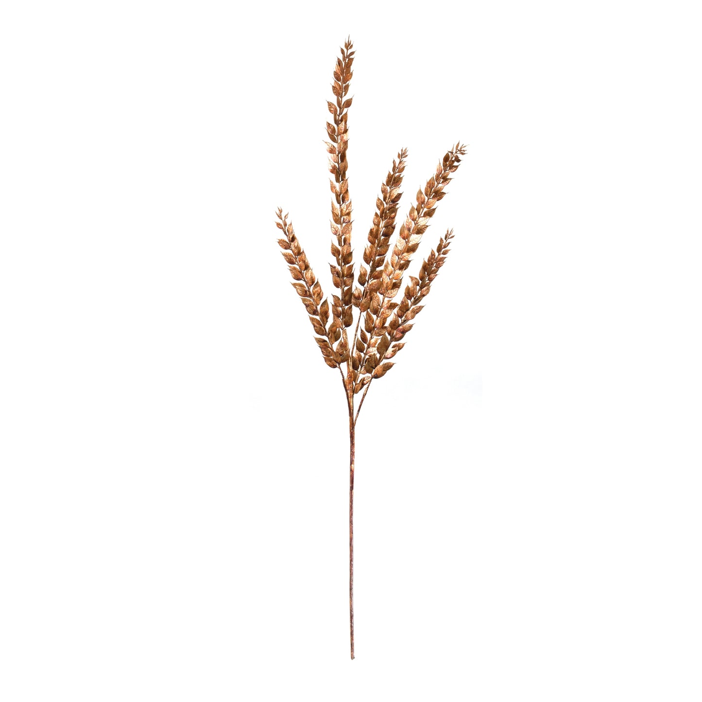 Fall Grain Stem