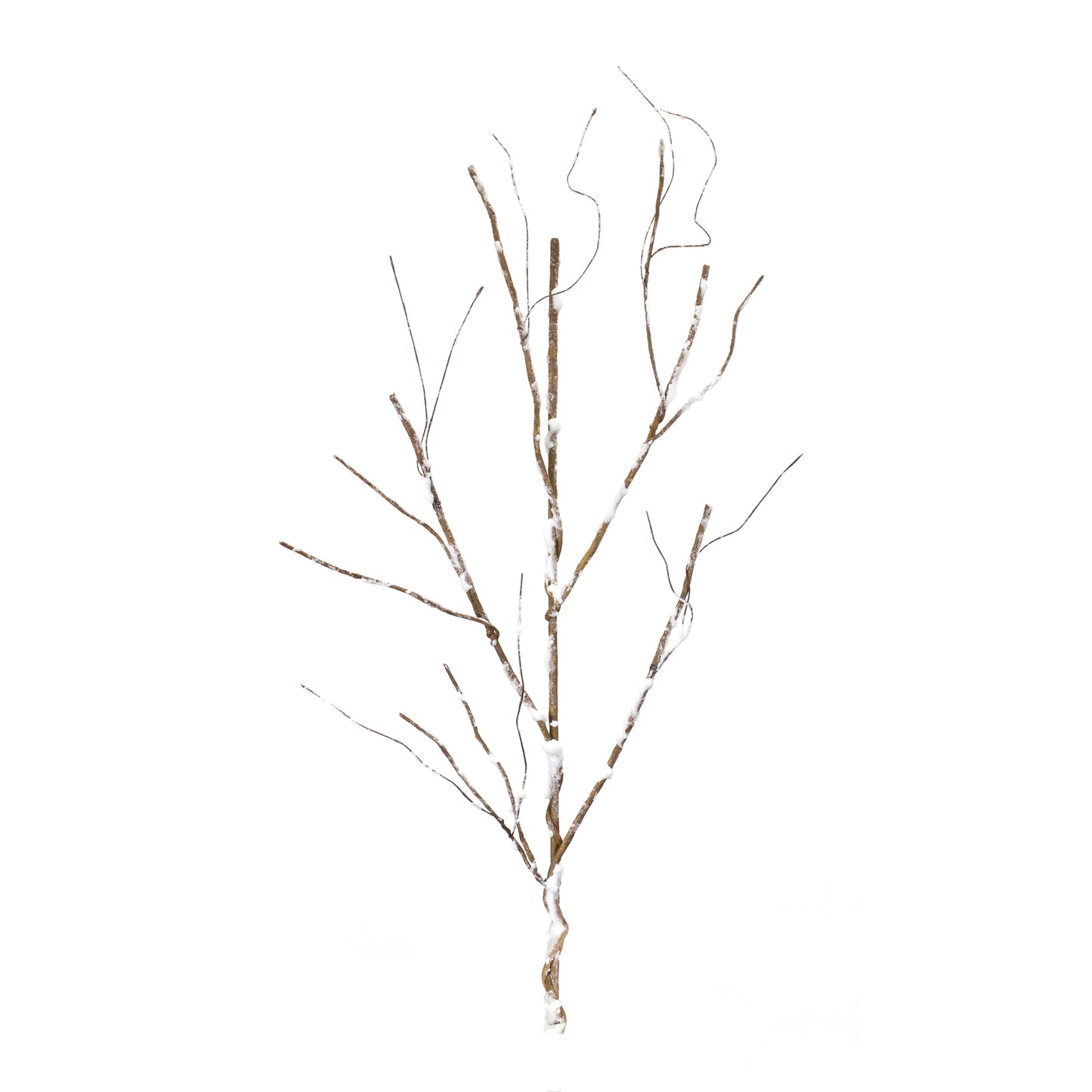 Snowy Birch Branch