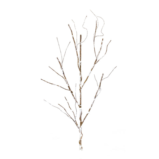 Snowy Birch Branch