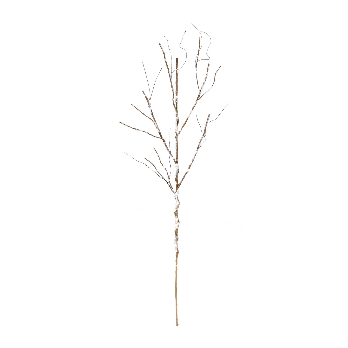 Snowy Birch Branch