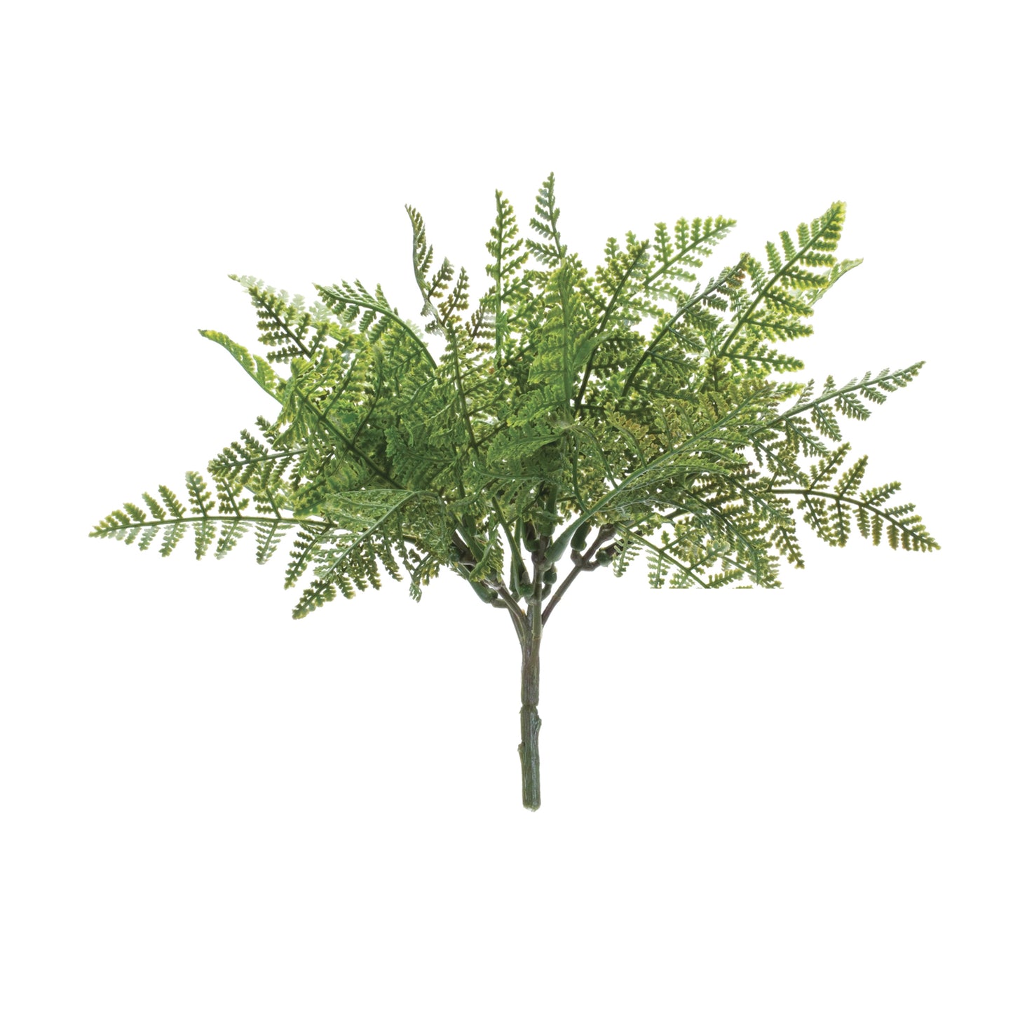 Fern Bush Pick Small