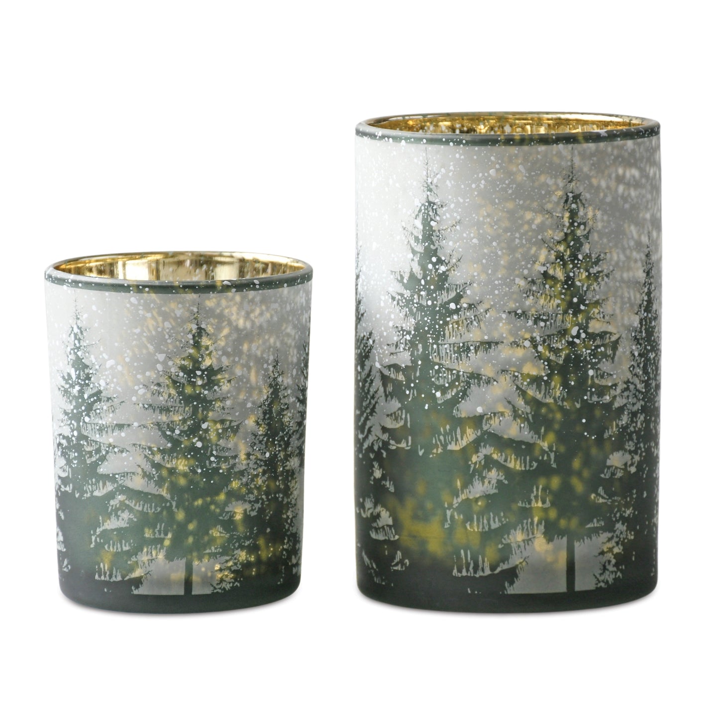 Snowy Pine Hurricane