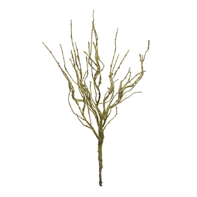 Mossy Twig Bush