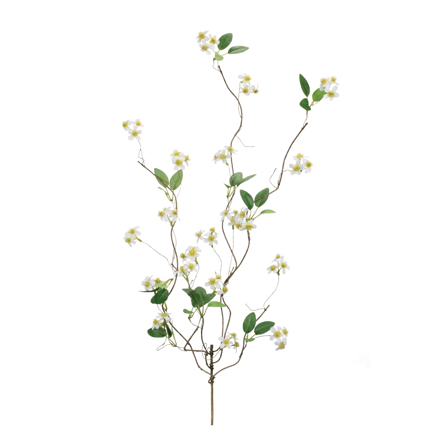 White Bud Branch