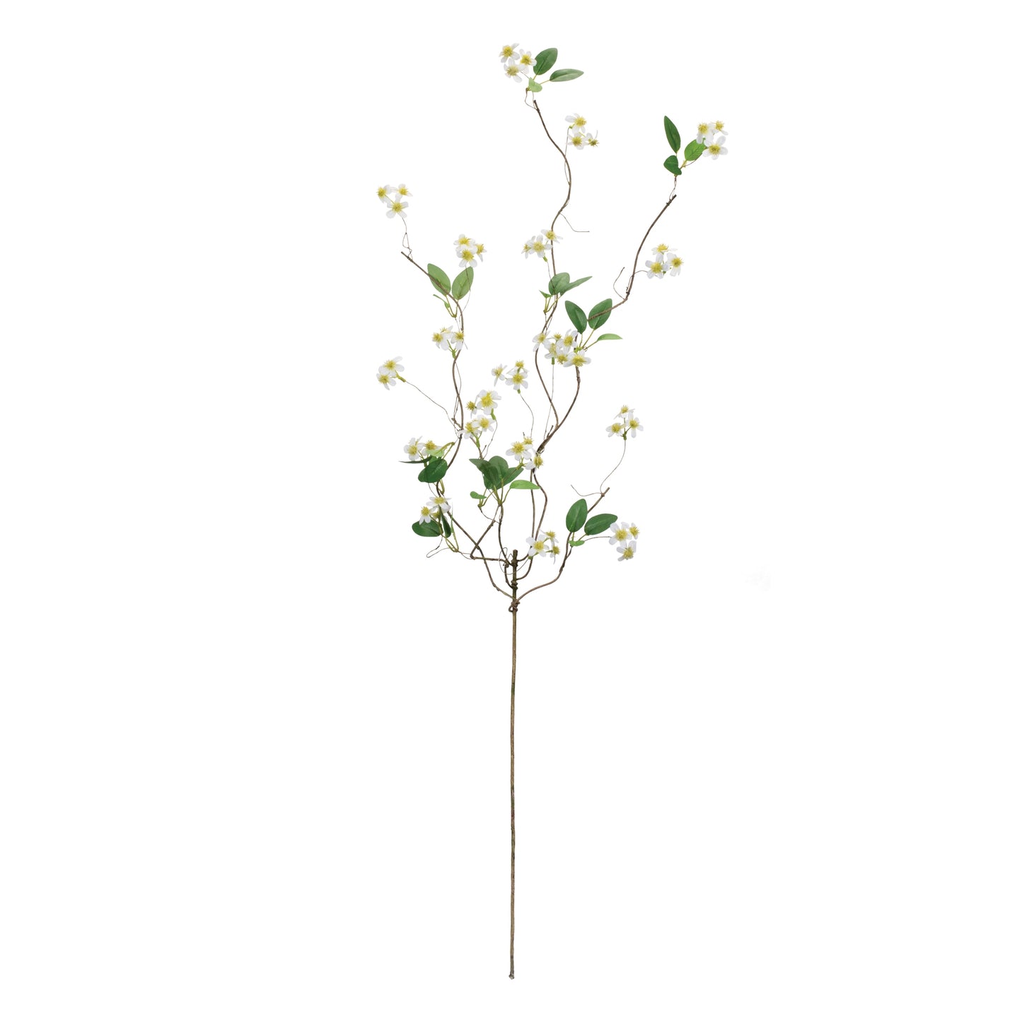 White Bud Branch