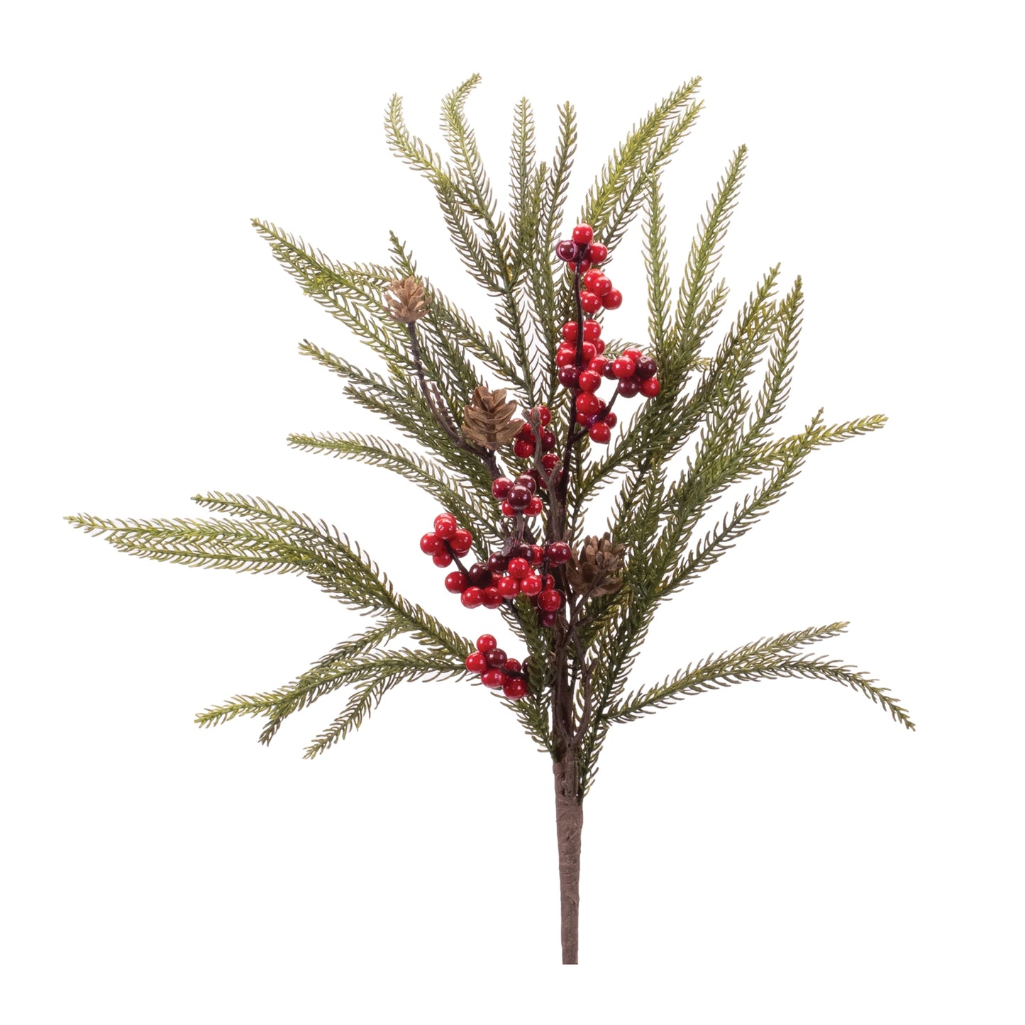 Pine Spray Berries