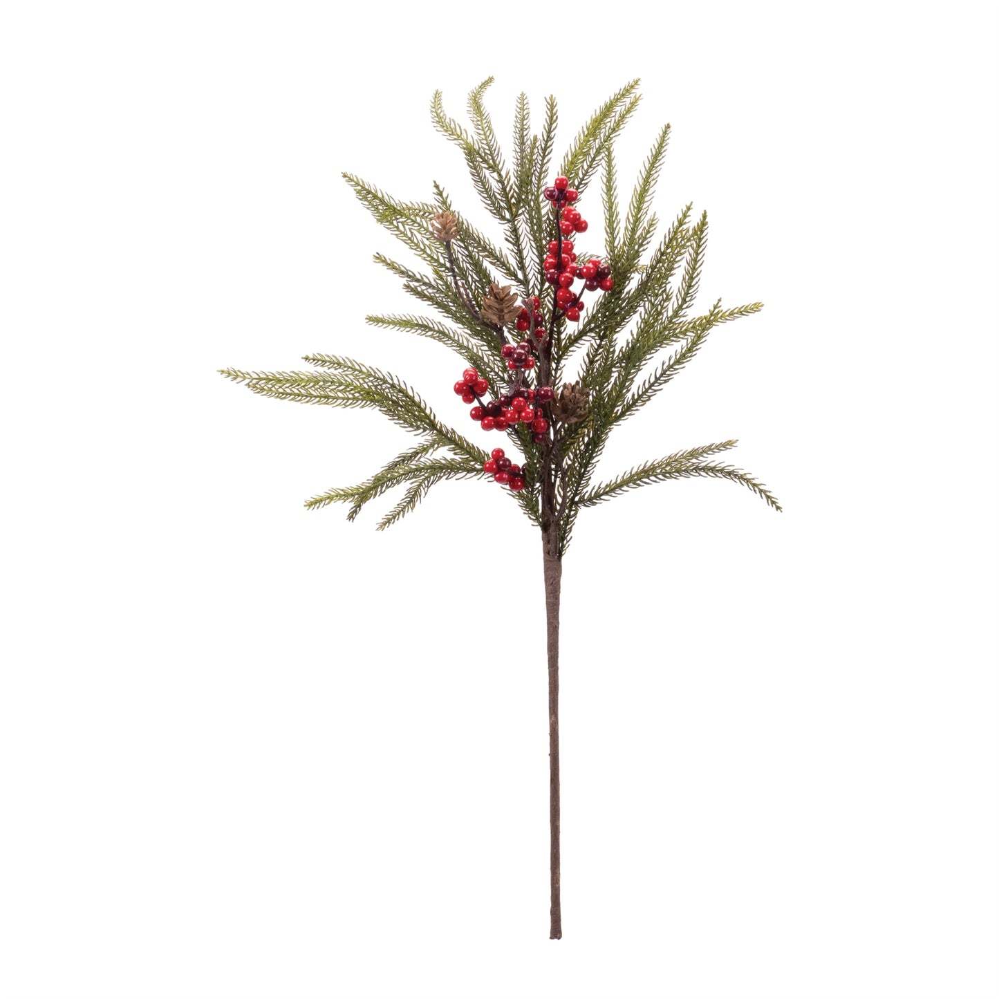 Pine Spray Berries