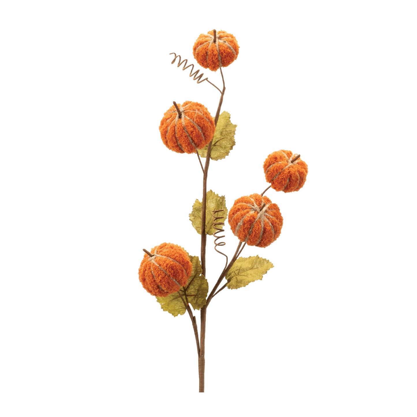 Pumpkin Stem