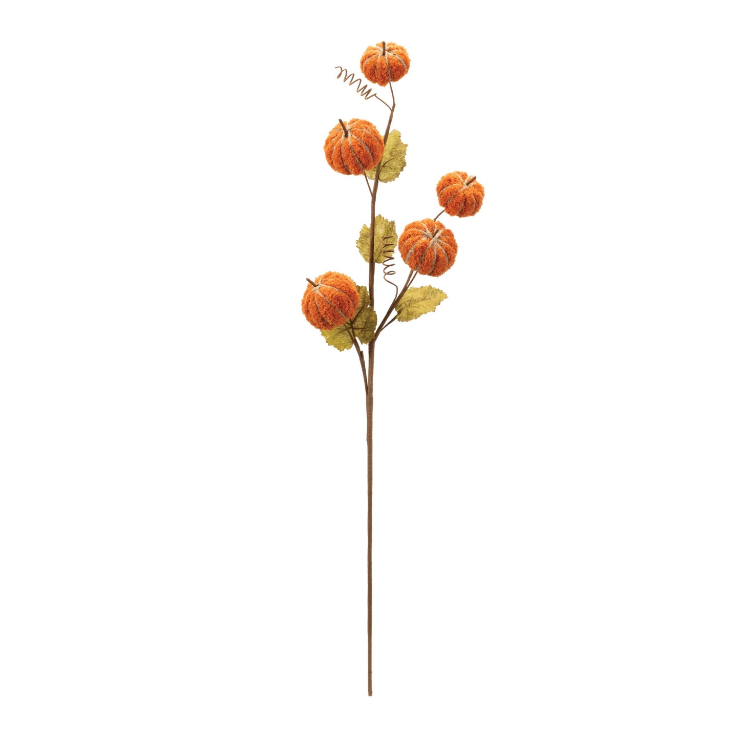 Pumpkin Stem