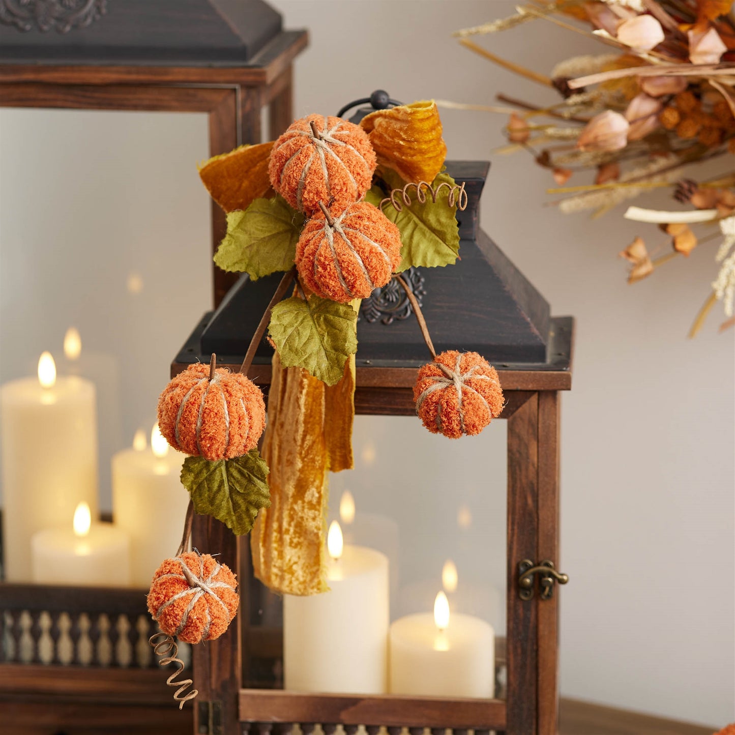 Pumpkin Stem