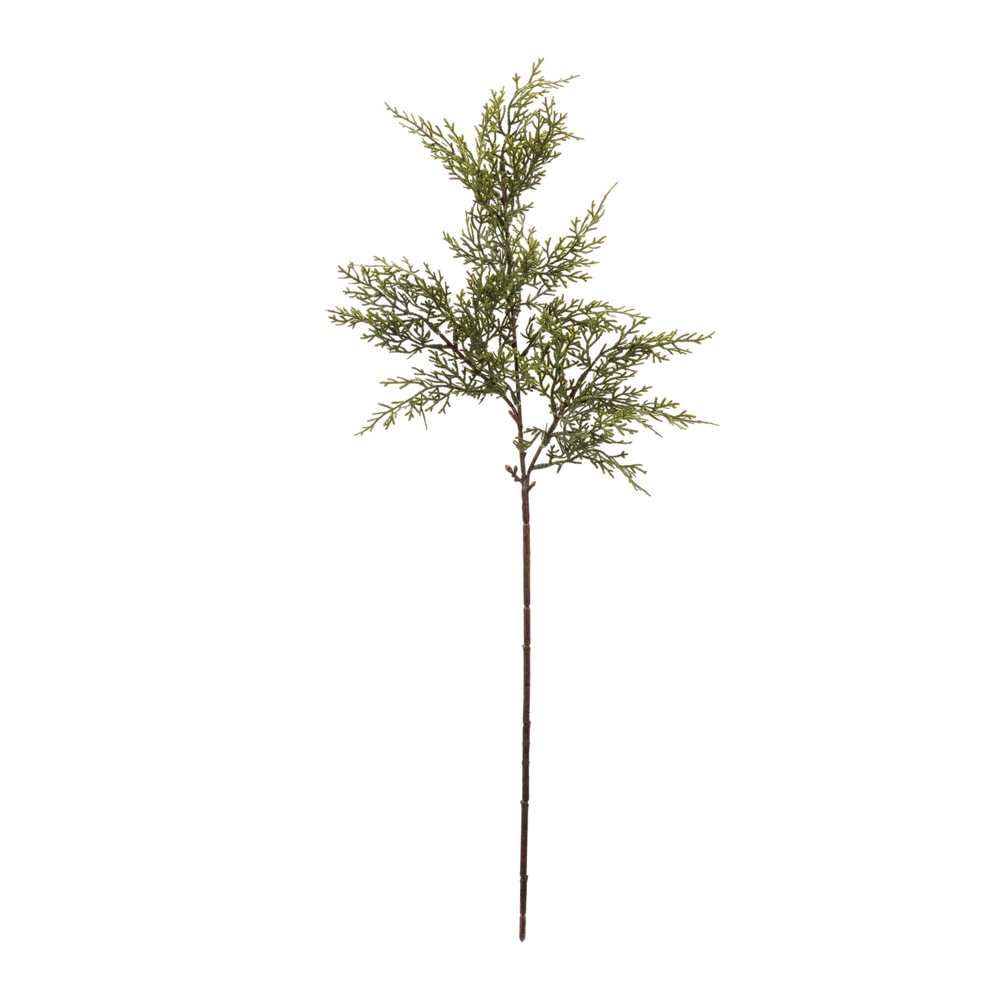 Pine Pick 31in