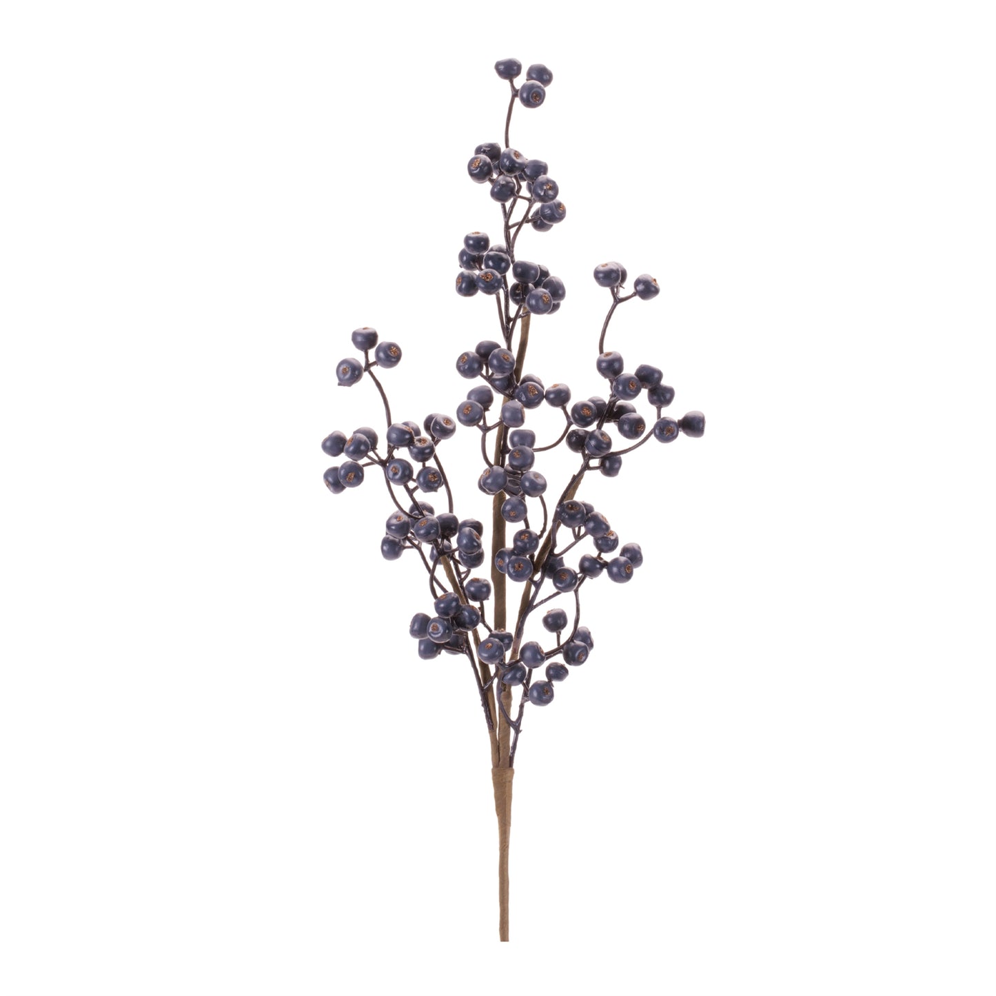 Winter Juniper Berry Branch