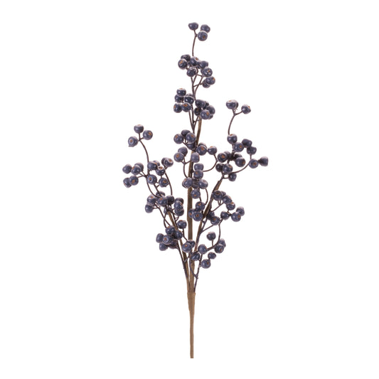 Winter Juniper Berry Branch