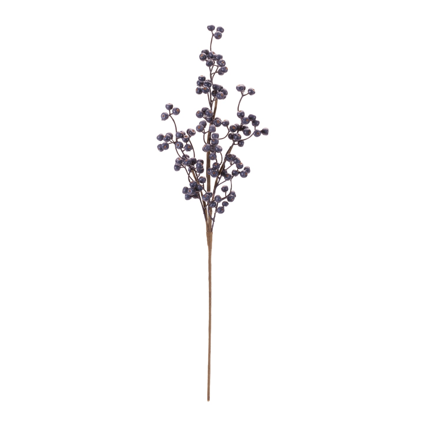 Winter Juniper Berry Branch