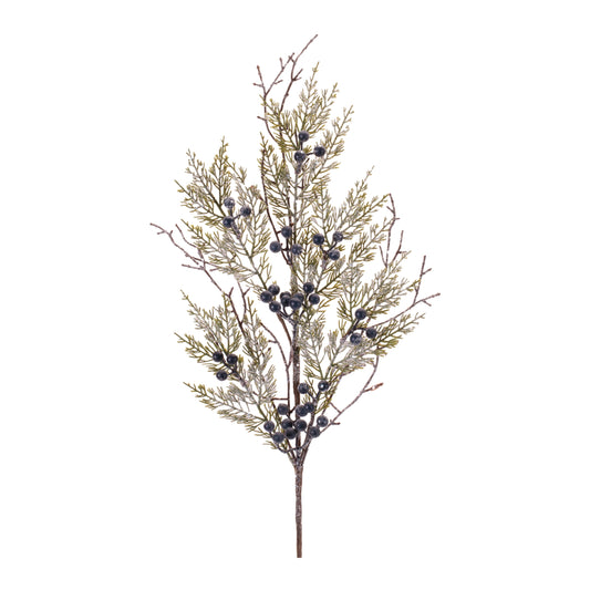Frosted Juniper Berry Branch