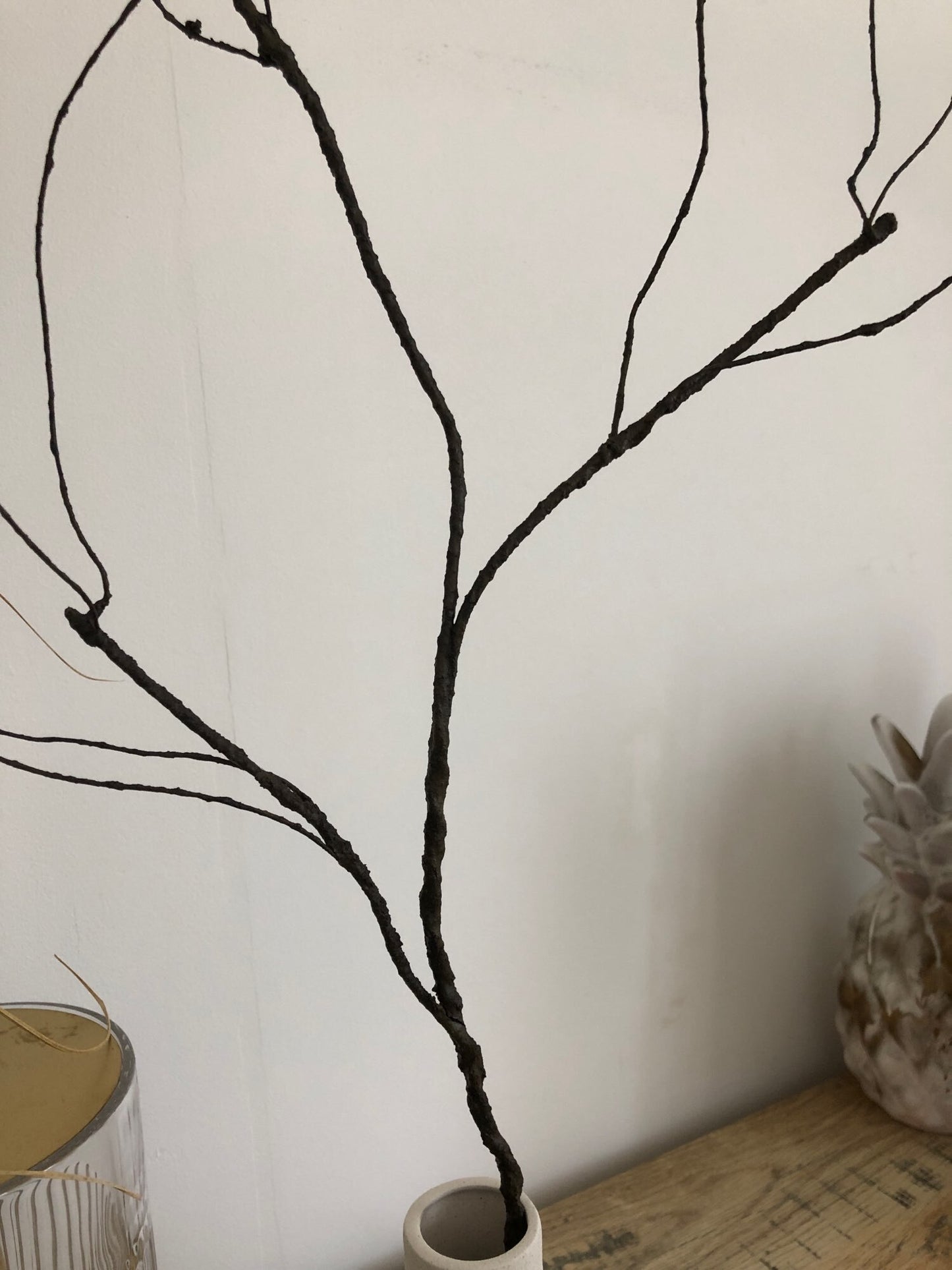 Brown Twiggy Branch