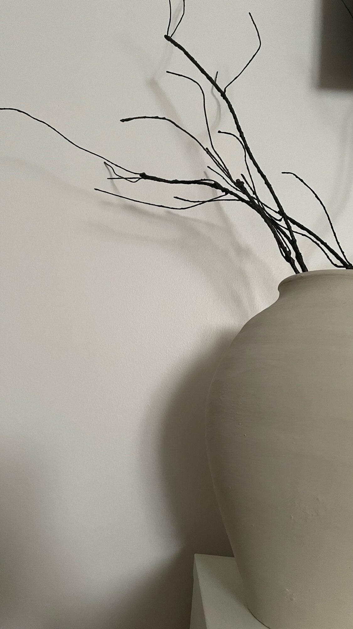 Brown Twiggy Branch