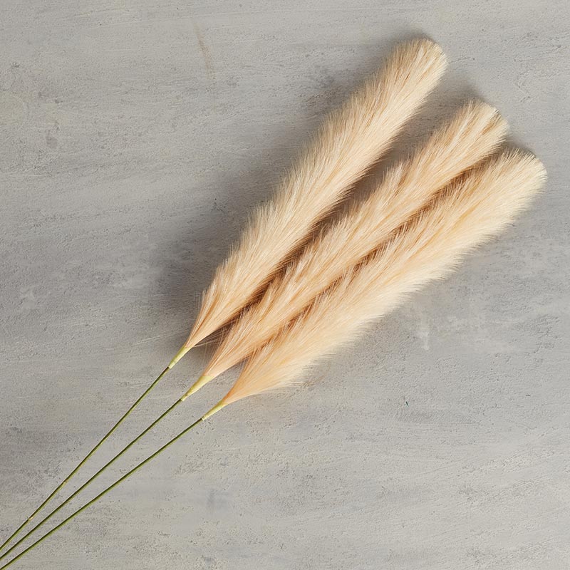 Faux Pampas - Champagne