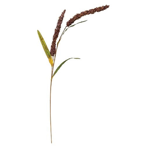 Burgundy Grain Stem