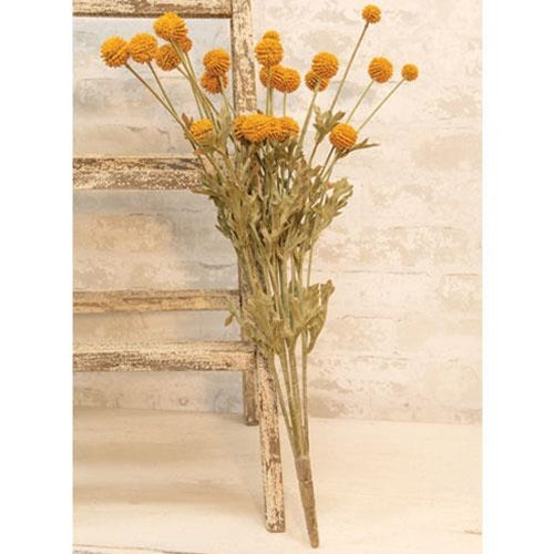 Mustard Fall bush