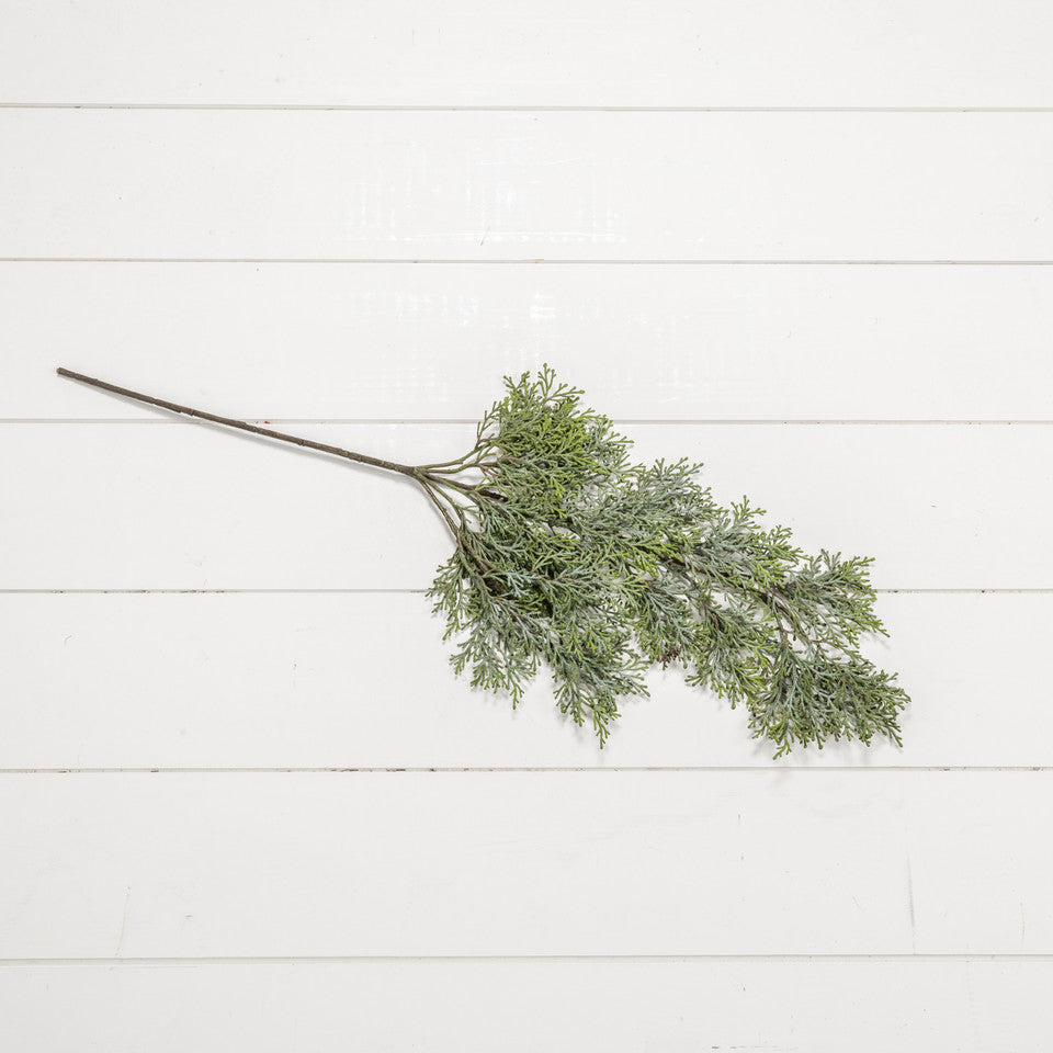 35in Cedar Hanging Spray