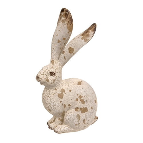 Distressed Jackrabbit (ONLINE EXCLUSIVE)