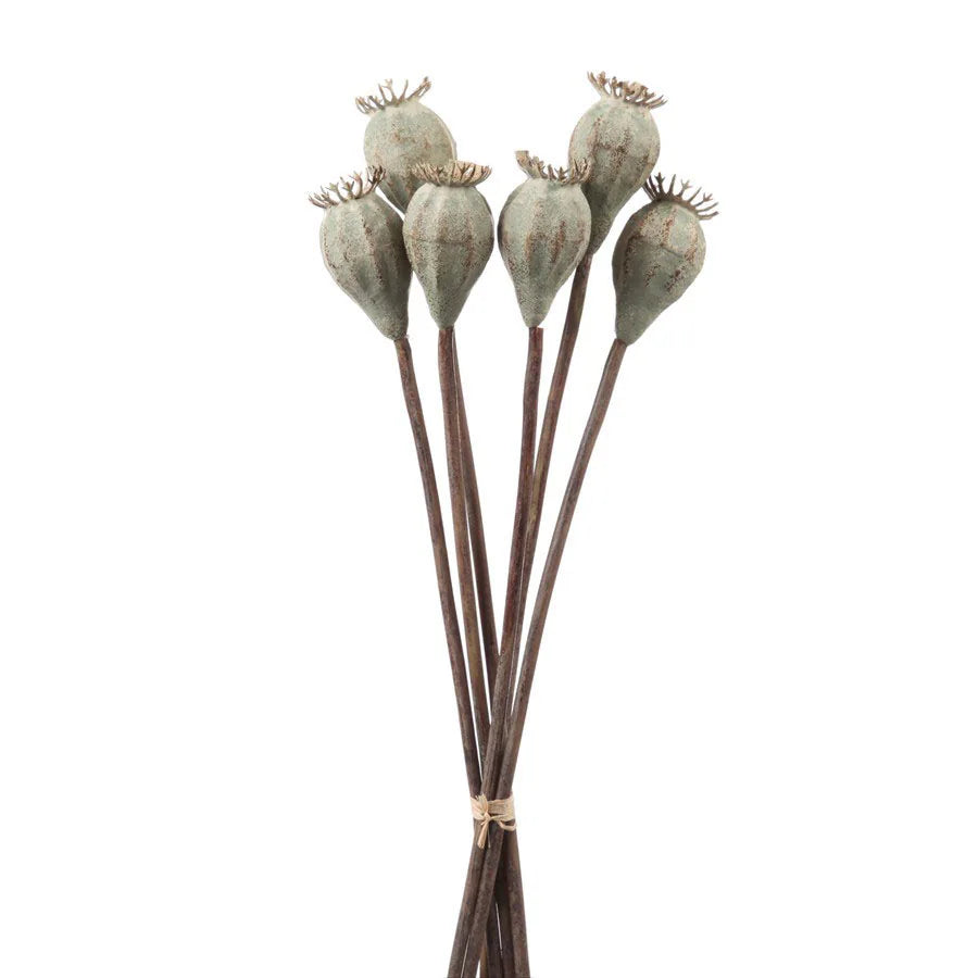 GreenGray Pod Bundle