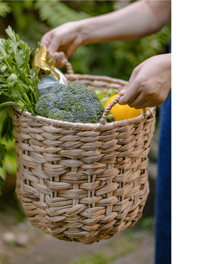 Natural Straw Round Basket (ONLINE EXCLUSIVE)