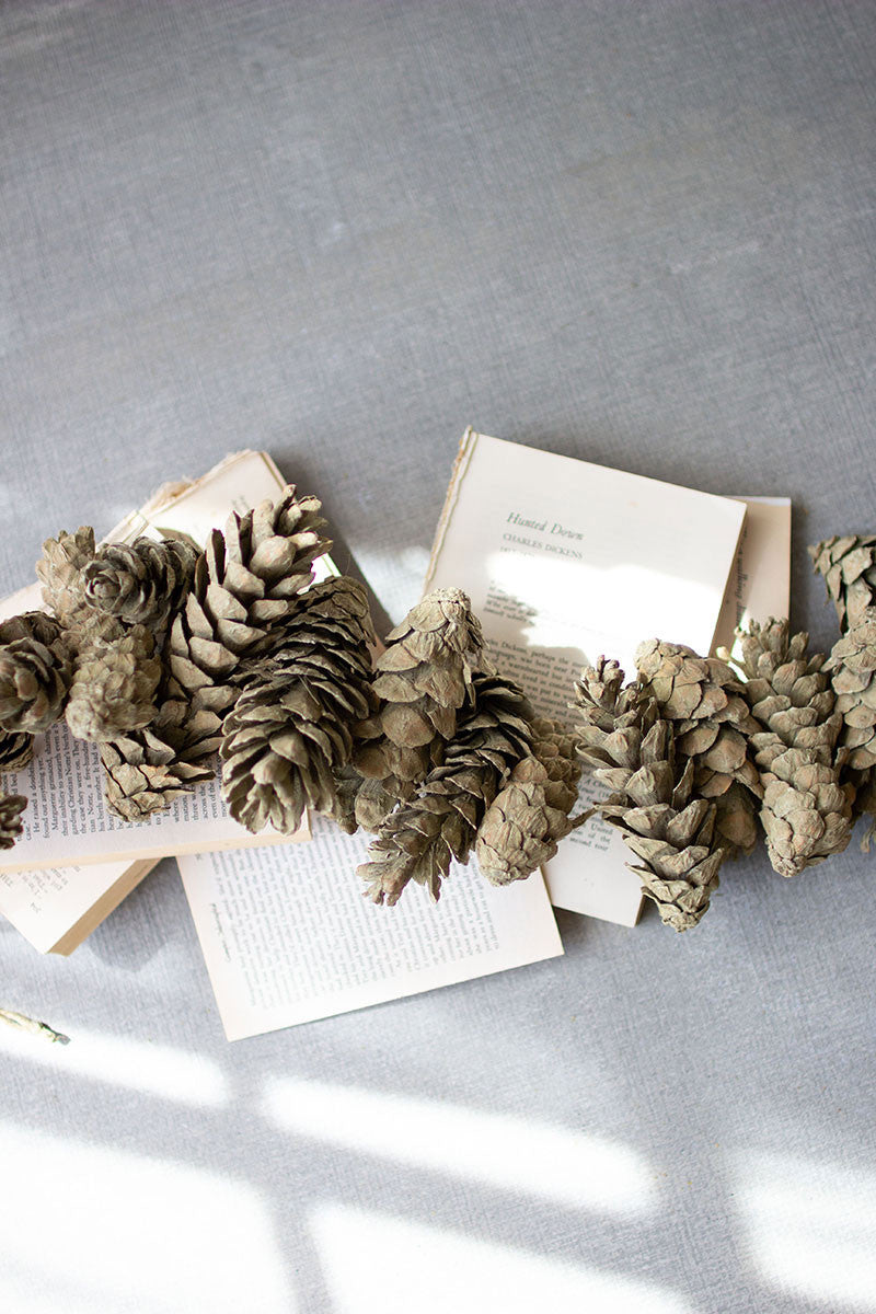 Pinecone Garland