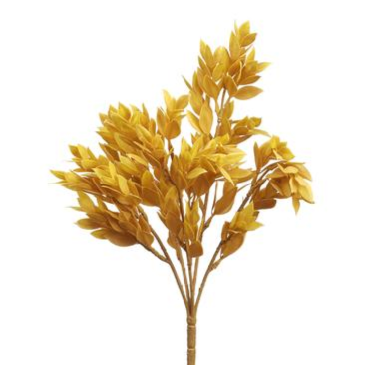 Yellow Leaf Bush