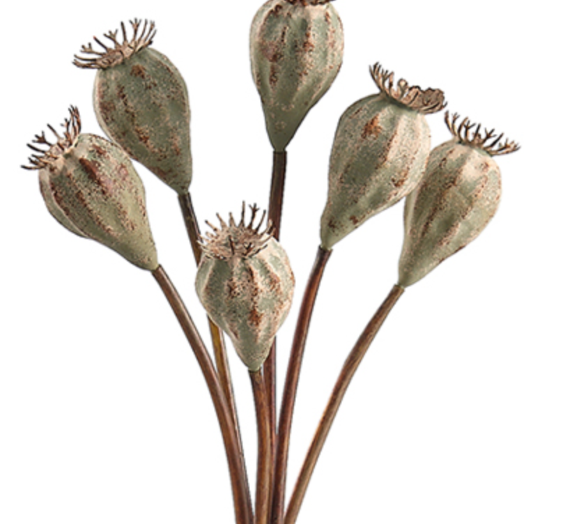Green Pod Bundle