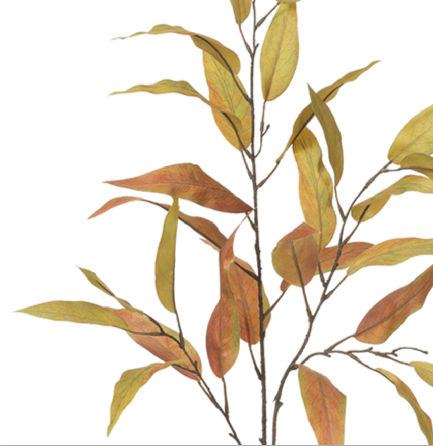 Harvest Eucalyptus Spray