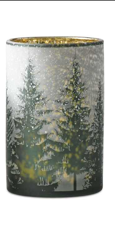 Snowy Pine Hurricane