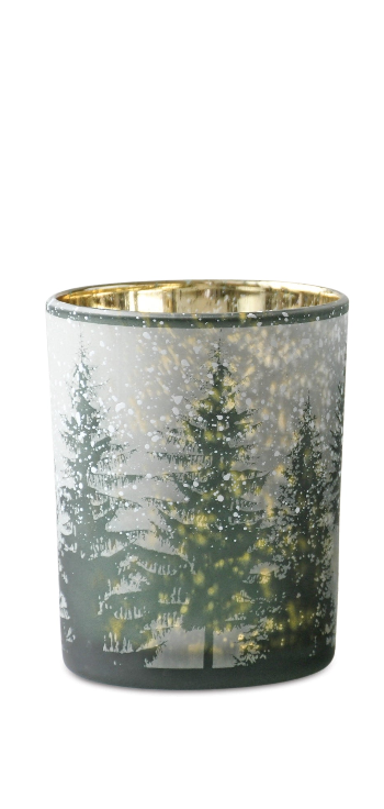 Snowy Pine Hurricane