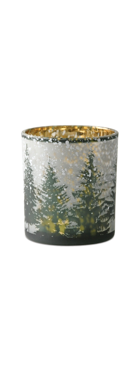 Snowy Pine Hurricane
