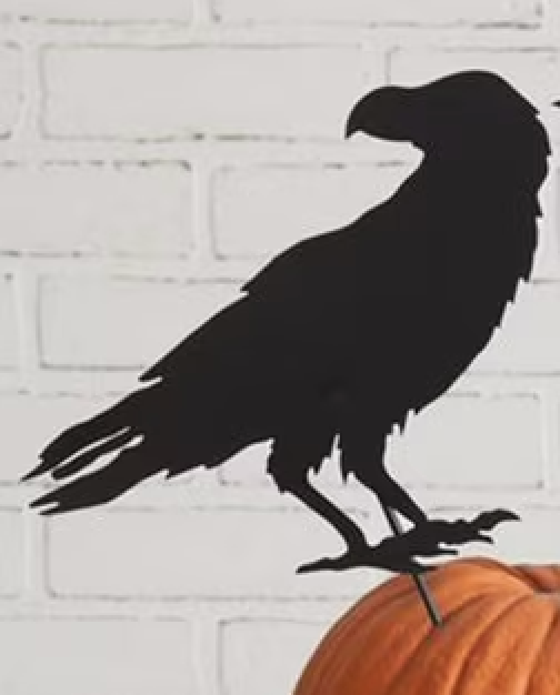 Raven Picks