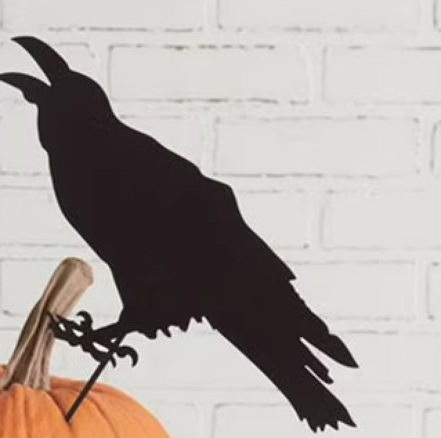 Raven Picks