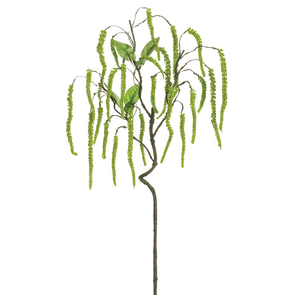 Amaranthus Hanging Spray